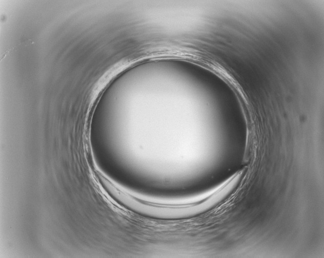 X0000054471485200508270117