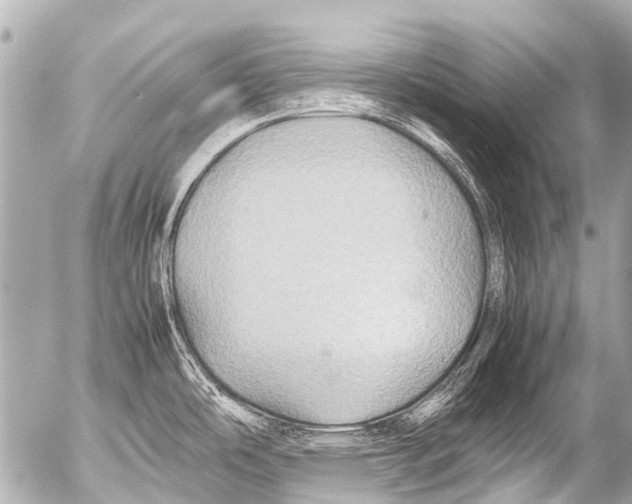 X0000054471486200508270117