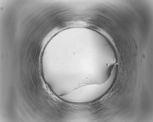 X0000054471488200508270117