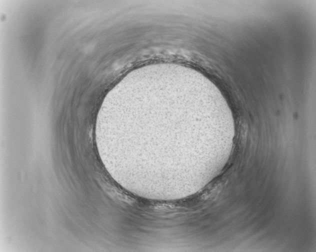 X0000054471489200508270116