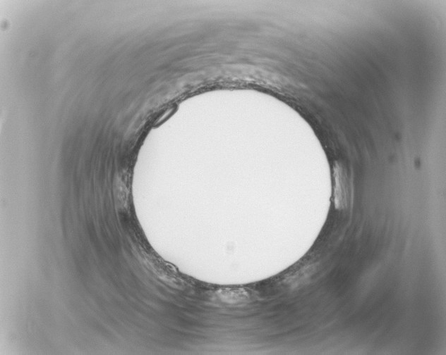 X0000054471491200508270116