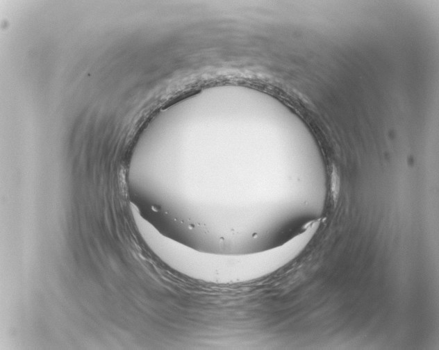 X0000054471492200508270116