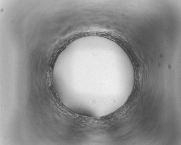 X0000054471493200508270116