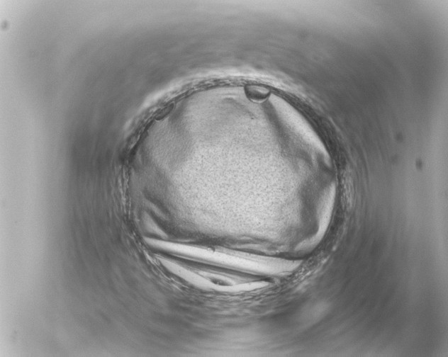 X0000054471494200508270116