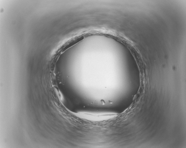 X0000054471496200508270116