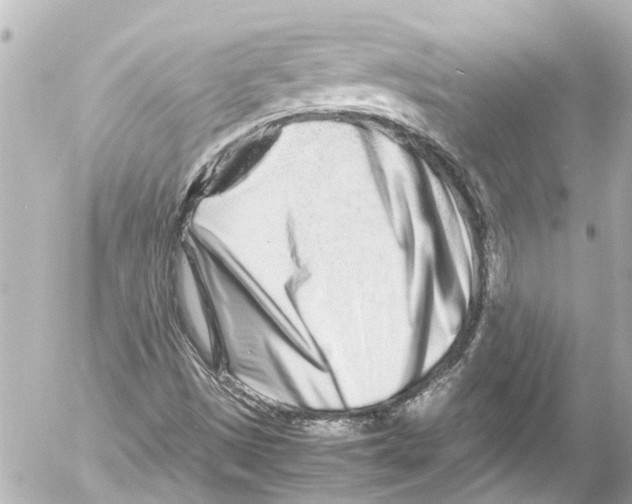 X0000054471497200508270116