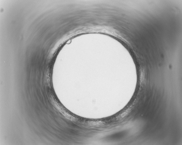 X0000054471498200508270116