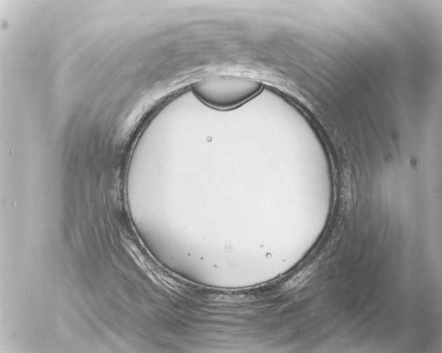 X0000054471499200508270116