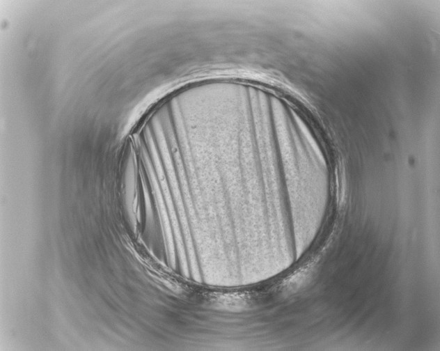 X0000054471501200508270116