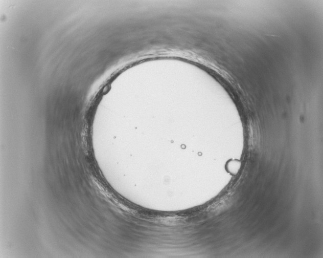 X0000054471502200508270116