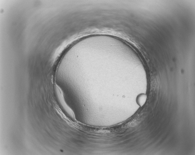 X0000054471503200508270116