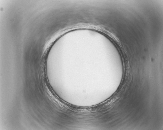 X0000054471504200508270116