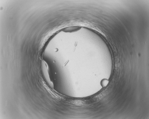 X0000054471507200508270116