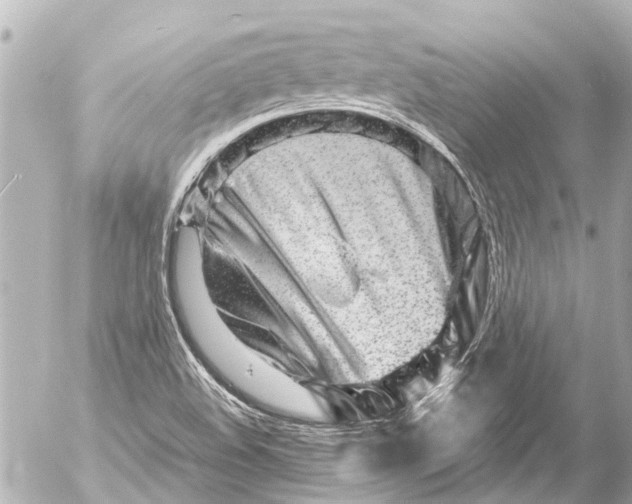 X0000054471508200508270116