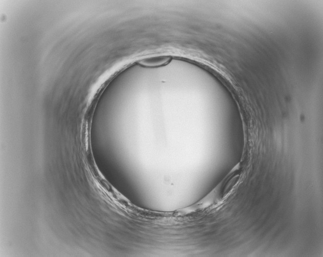 X0000054471510200508270116