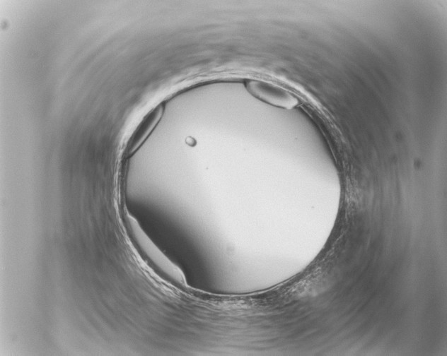 X0000054471512200508270116