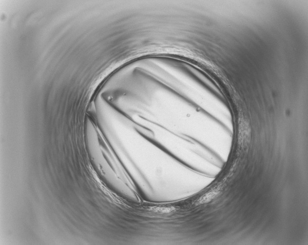 X0000054471513200508270116