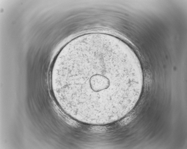 X0000054471514200508270116