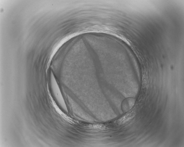 X0000054471515200508270116