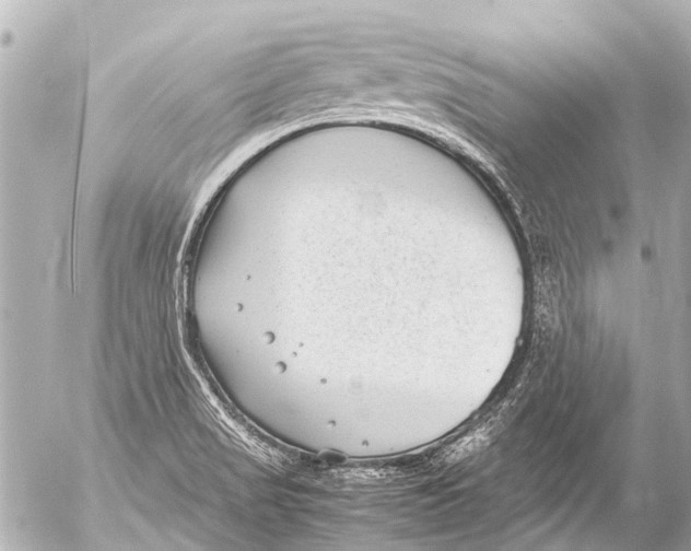 X0000054471517200508270116