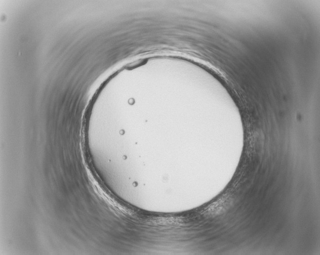 X0000054471518200508270116