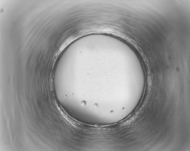 X0000054471521200508270116