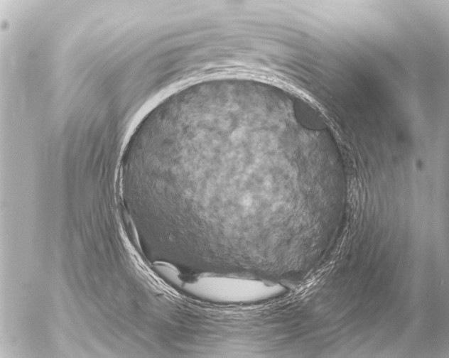 X0000054471522200508270116