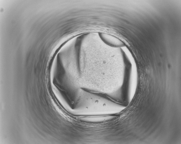 X0000054471523200508270116