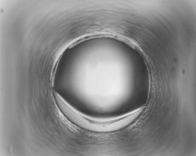 X0000054471524200508270116