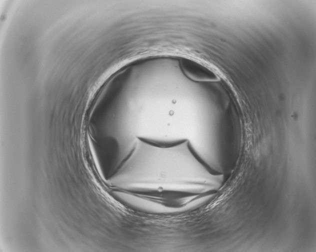 X0000054471525200508270116