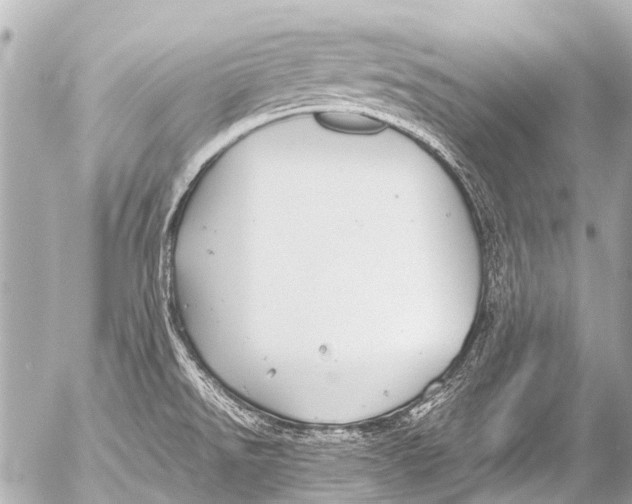 X0000054471526200508270116