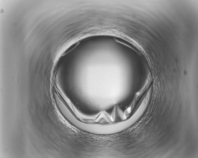 X0000054471528200508270116