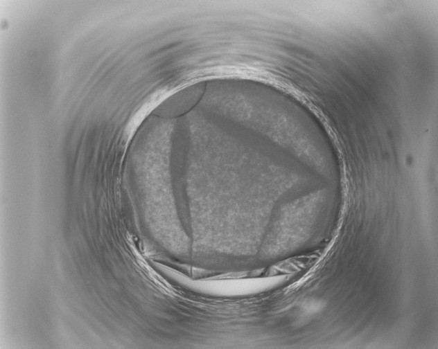 X0000054471529200508270116