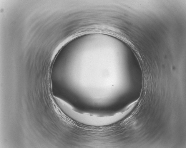 X0000054471530200508270116