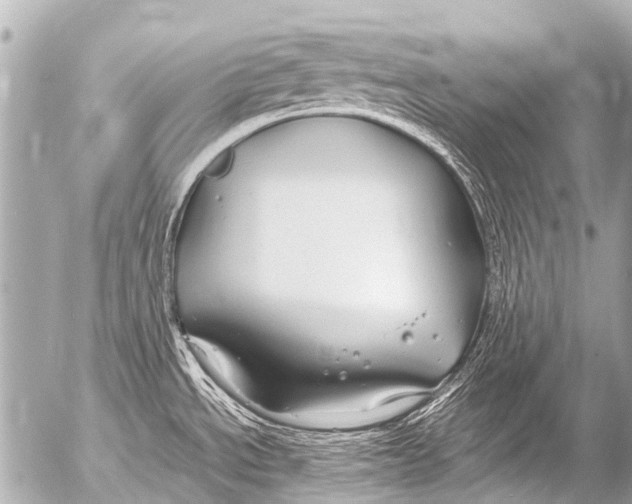 X0000054471534200508270117