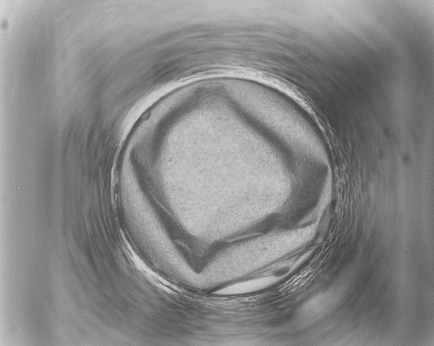 X0000054471535200508270117