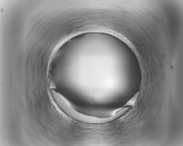 X0000054471536200508270117