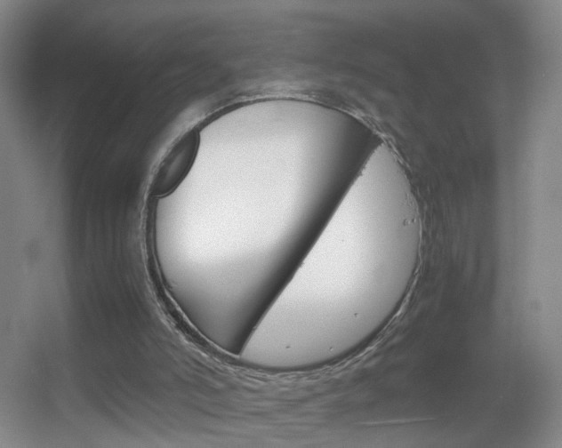 X0000055510006200508120808
