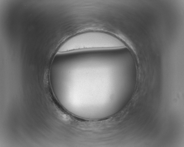 X0000055510009200508120808