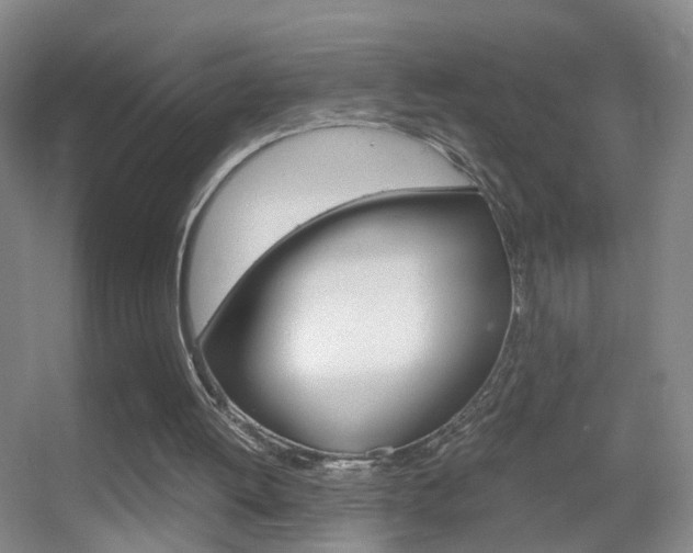 X0000055510052200508120806