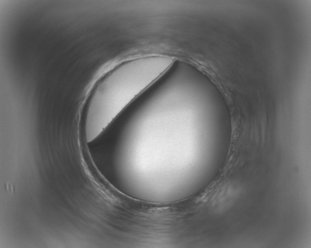X0000055510054200508120806