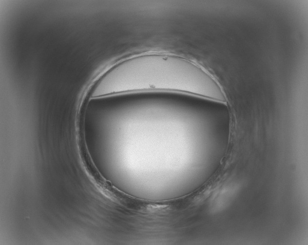 X0000055510055200508120806
