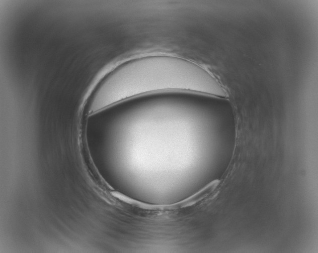 X0000055510056200508120806