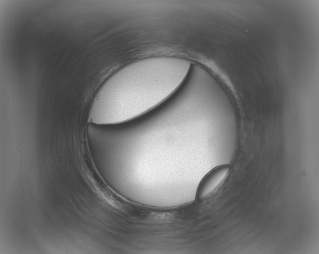 X0000055510057200508120806