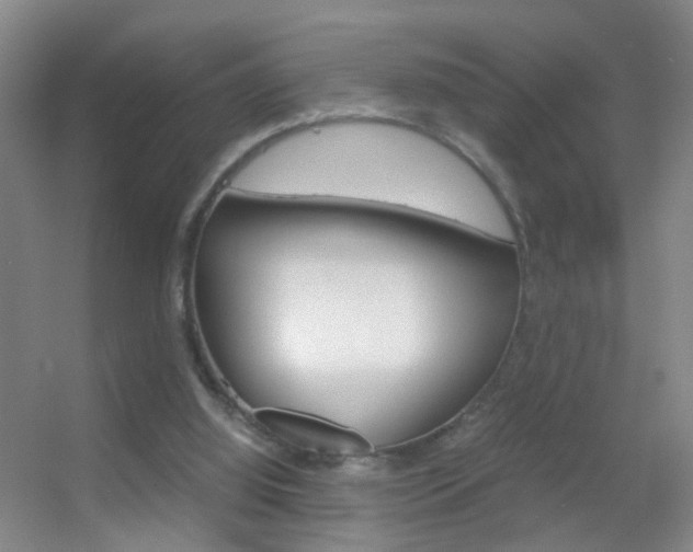 X0000055510060200508120806