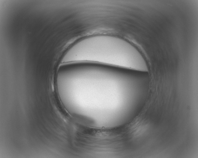 X0000055510062200508120806