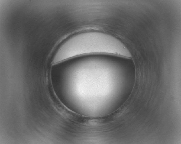 X0000055510064200508120806