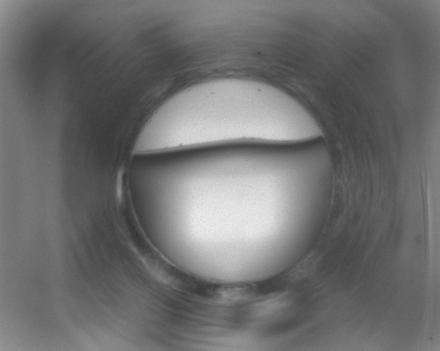 X0000055510070200508120806