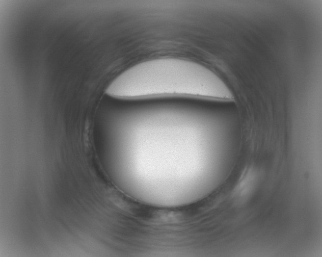 X0000055510073200508120806