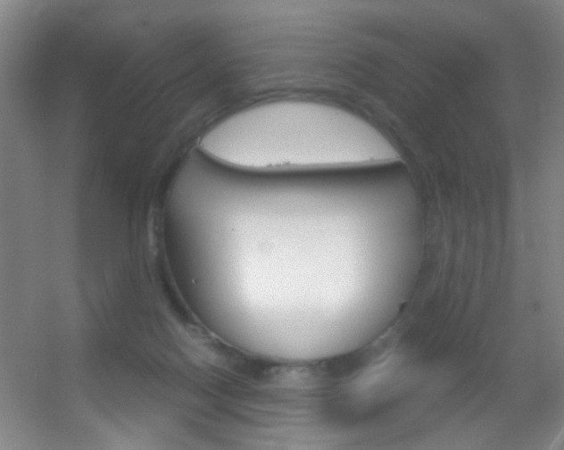 X0000055510074200508120806